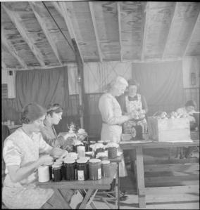 From Wikimedia Commons: Community Gardening- Wartime Food Production at Rowney Green, Worcestershire, England, UK, 1943 Members of the Women's Institute hard at work making jam in the Peace Hall (an army hut converted into a village hall) at Rowney Green, Worcestershire. Labelling the jam jars in the foreground are Mrs Lee (left) and Mrs Dodd. Weighing the fruit in the centre of the photograph is Mrs Nutting. Another WI member can be seen behind her, also hard at work. The fruit was provided by people in the village, from their own gardens, and the sugar came from the government. According to the original caption, this centre has made nearly a ton and three-quarters of jam in the three seasons since the scheme began.